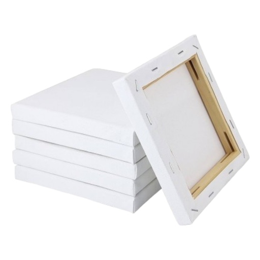 City Canvas Fine Quality - 12/14
