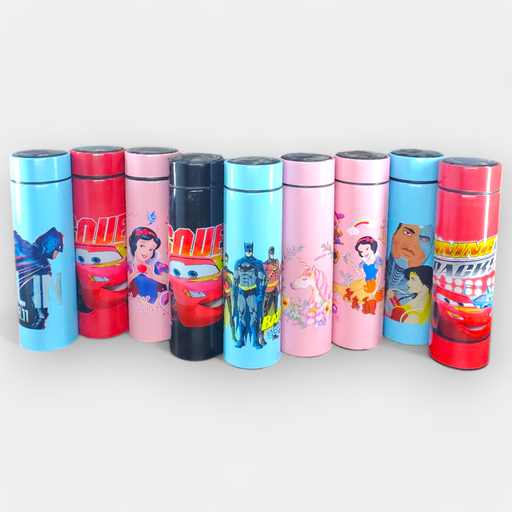 Stainless Steel Temperature Water Bottle