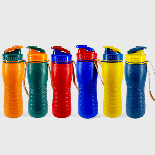 Spring Thermic Bottle 500ml - Appollo