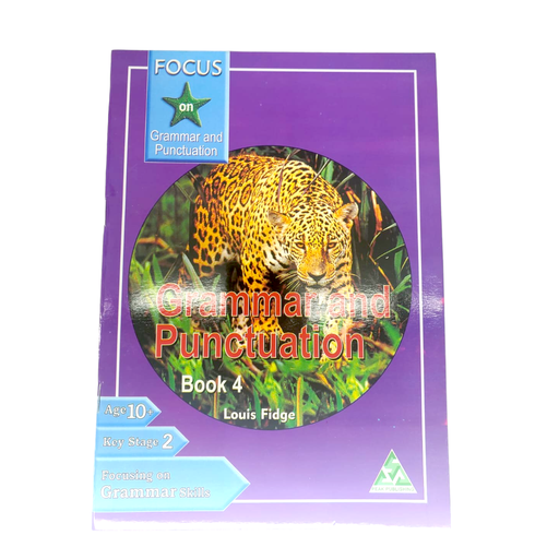 Focus On Grammar & Punctuation - Book 4