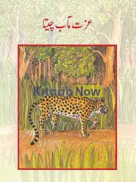 BSS Reader: Izzat Maab Cheeta