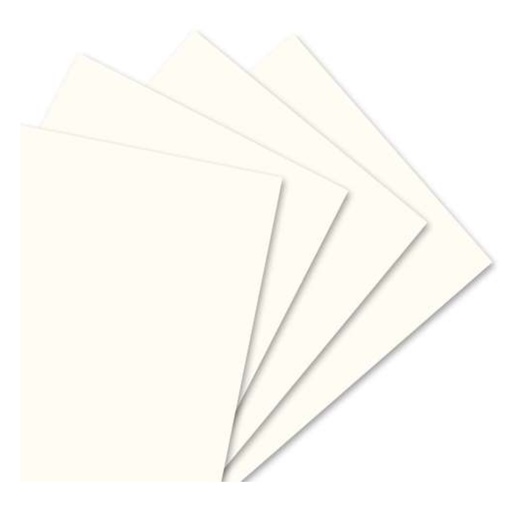 Canson Sheet