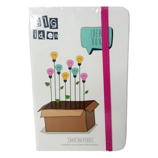 Big Idea My Notes mini Diary Notebook - A6 - Assorted Designs - No. NC6050