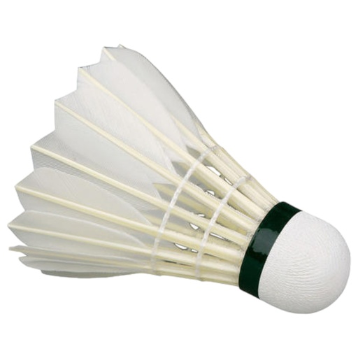 Feather Shuttlecocks - SSM