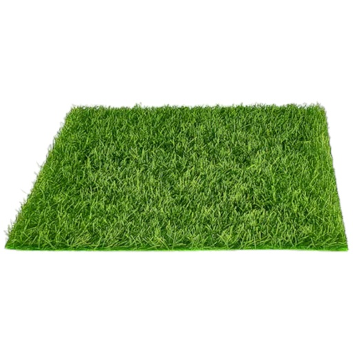 Artificial Grass Carpet - Medium (TMTRGLM) 16x18