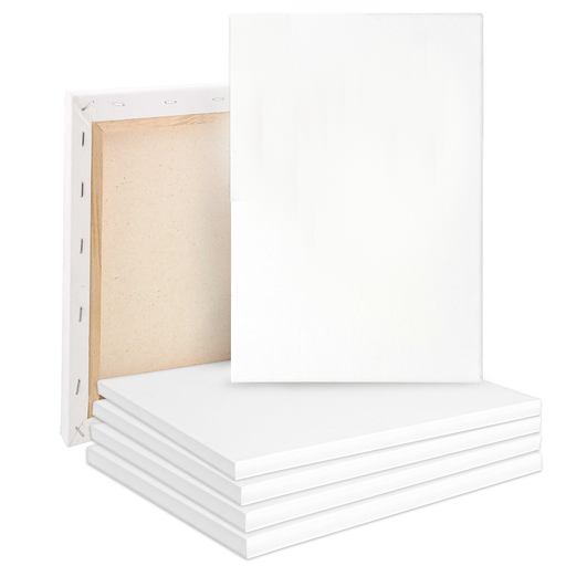 City Canvas Fine Quality - 20/30
